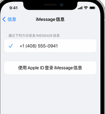 孝南apple维修iPhone上无法正常发送iMessage信息 