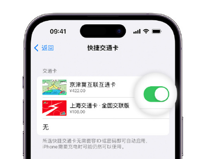 孝南apple维修点分享iPhone上更换Apple Pay快捷交通卡手绘卡面 