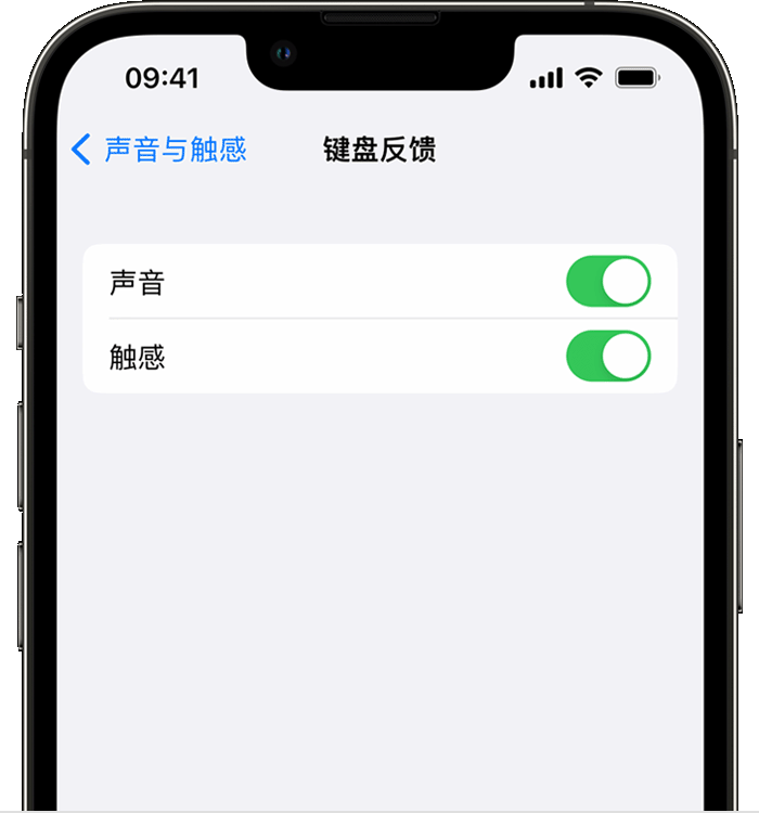 孝南苹果14维修店分享如何在 iPhone 14 机型中使用触感键盘 