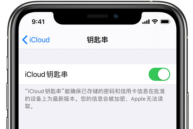 孝南苹果手机维修分享在 iPhone 上开启 iCloud 钥匙串之后会储存哪些信息 