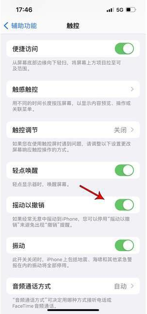 孝南苹果手机维修分享iPhone手机如何设置摇一摇删除文字 